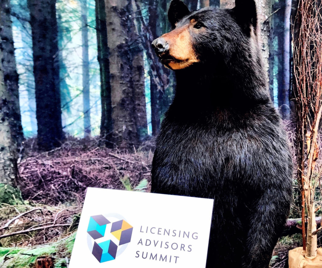 Black bear in woods with sign in foreground for Licensing Advisors Summit