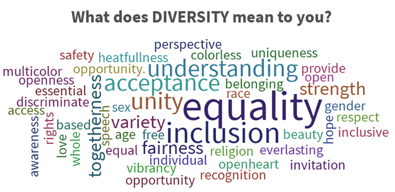 What does Diversity mean to you? E4H